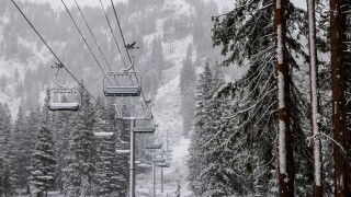 Alta snow