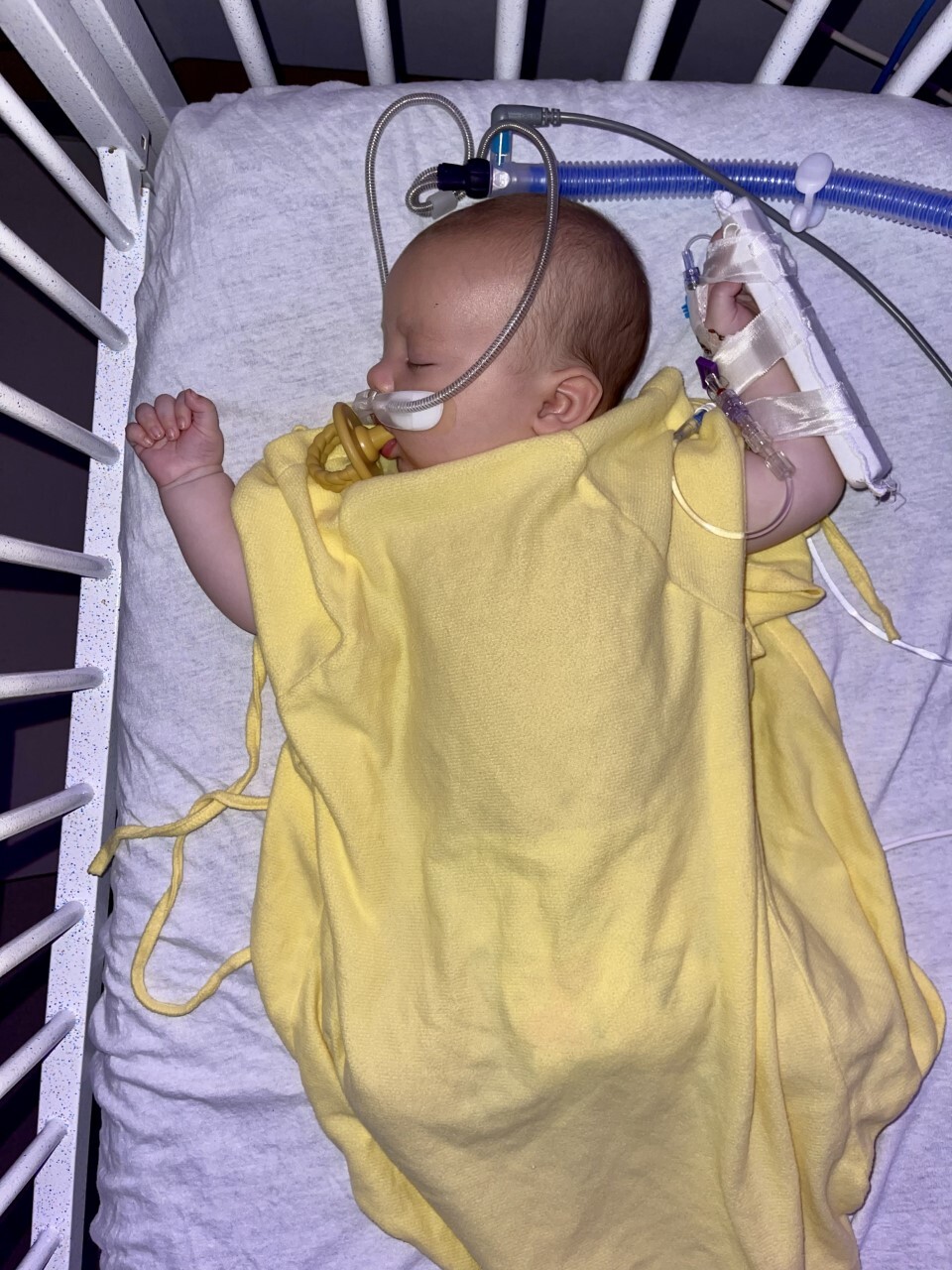 Shanisty Ireland.jpg