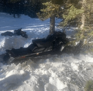 snowmobile vs tree.gif