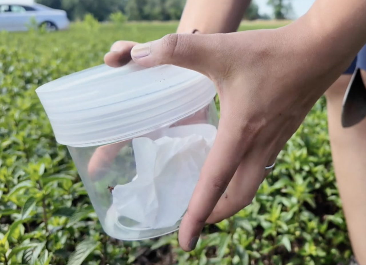 Screenshot 2024-06-20 at 4.57.56 PM.png