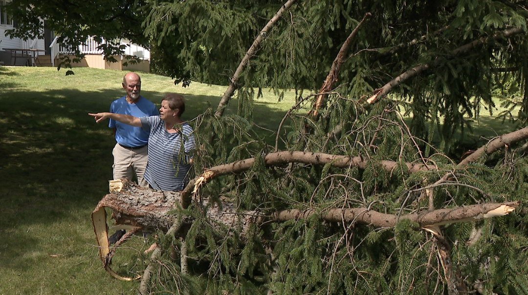 Screenshot 2024-08-12 at 2.35.59 PM.png