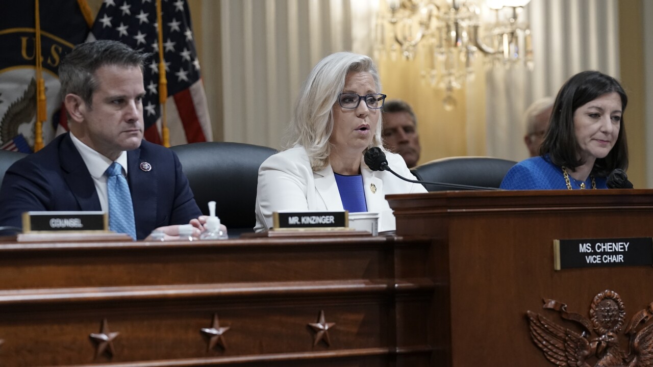 Liz Cheney, Adam Kinzinger, Elaine Luria