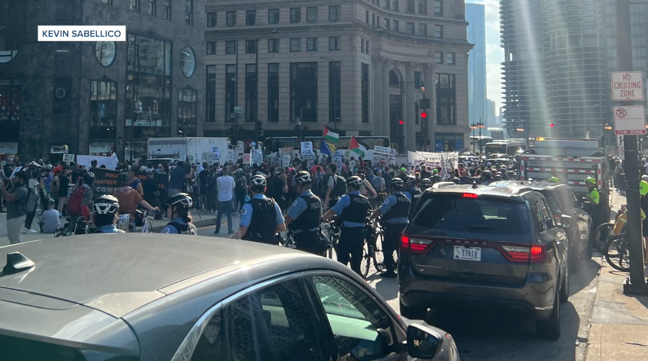 security-dnc-chicago-local-delegate-080924