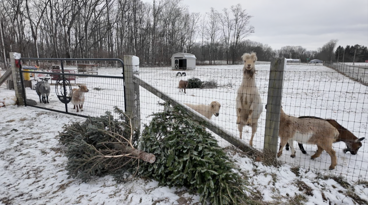 Screenshot 2026-01-02 at 6.10.48 PM.png