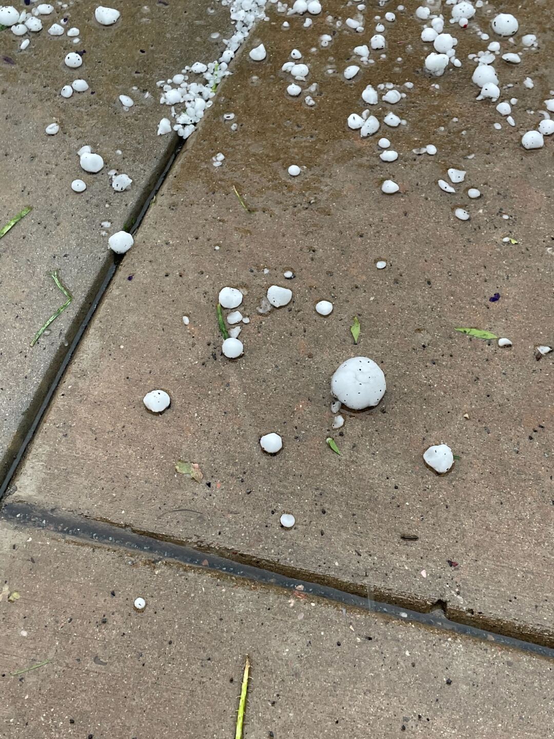 Hail in Canon City Close Up