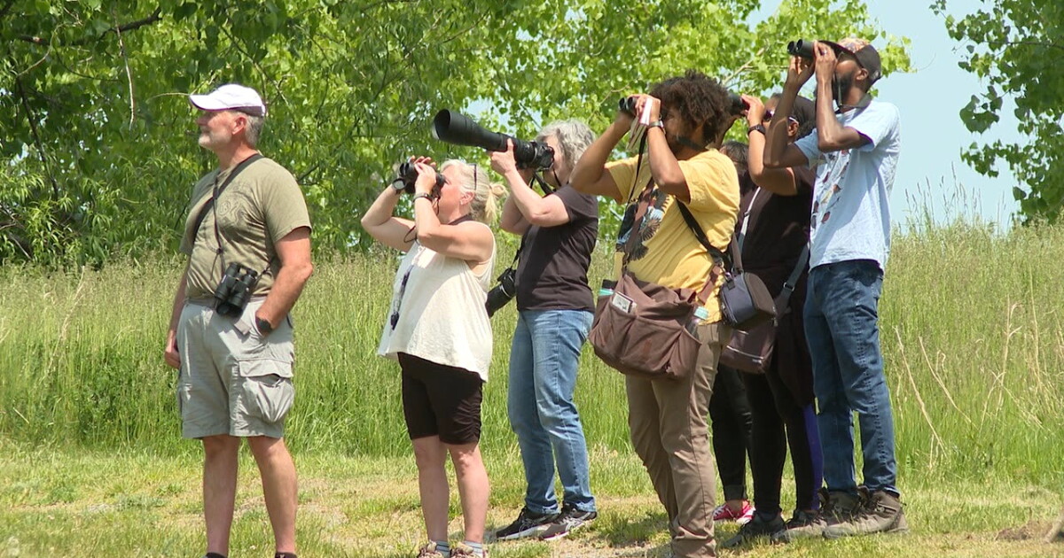 Celebrating Black Birders Week in Buffalo - Vimarsana News