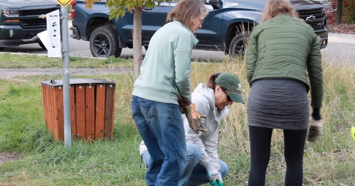 Climate Smart Missoula looking for volunteers to help plant trees - Vimarsana News