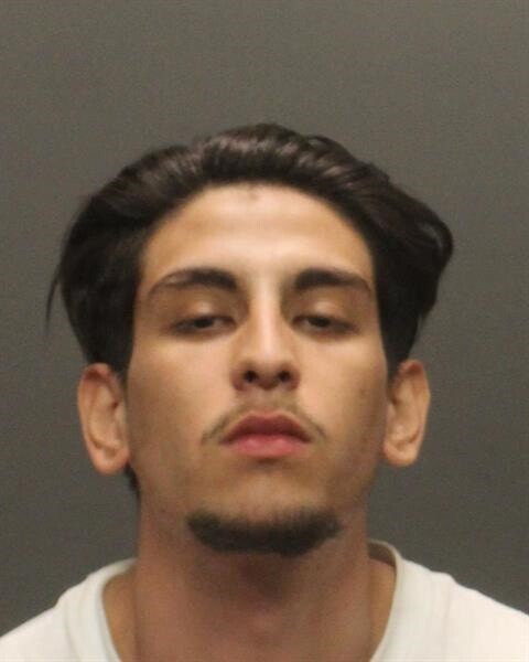Alexis Diaz mugshot.jpg