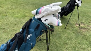 golf clubs .jpeg