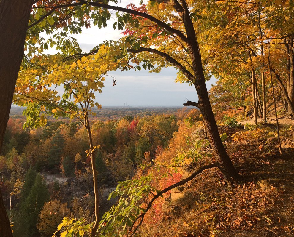 Chapin-Forest-Reservation-fall-overlook-web-Brian-Fowler (1).jpg