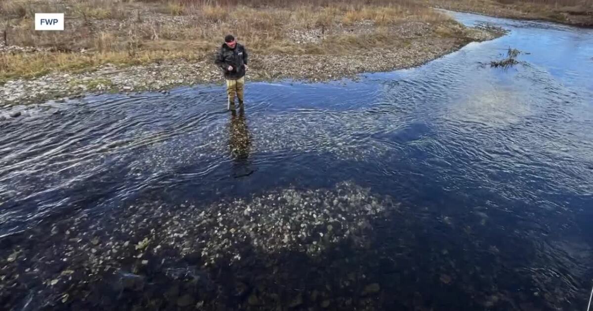 Winter fishing requires care to protect spawning fish in Montana rivers