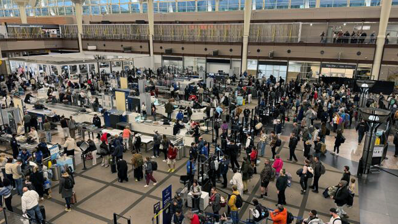 dia lines.png