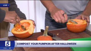 pumpkin compost.jpg