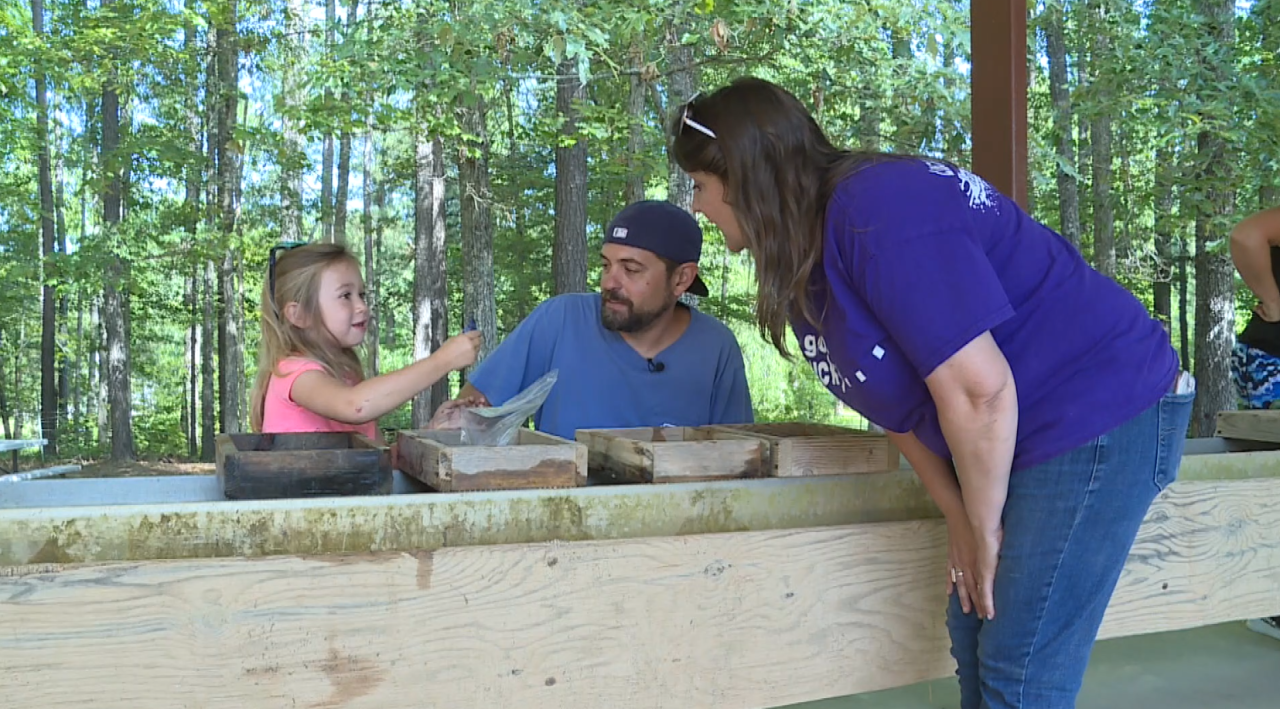 Dinwiddie gem stone farm 03.png