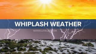WHIPLASH WEATHER 