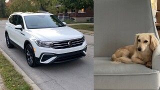 Stolen car/dog