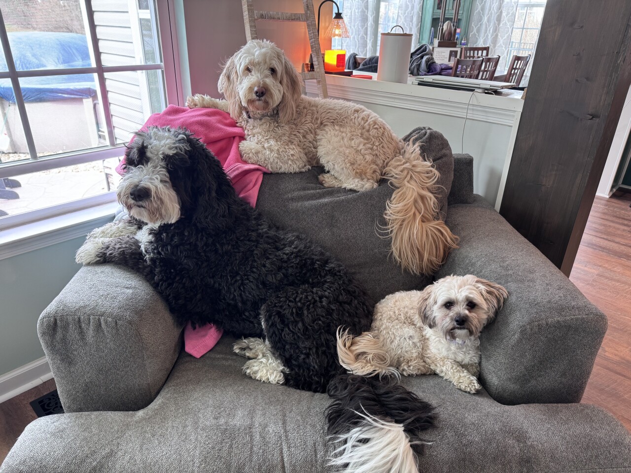 izzy moose gigi davis tuesday.jpeg