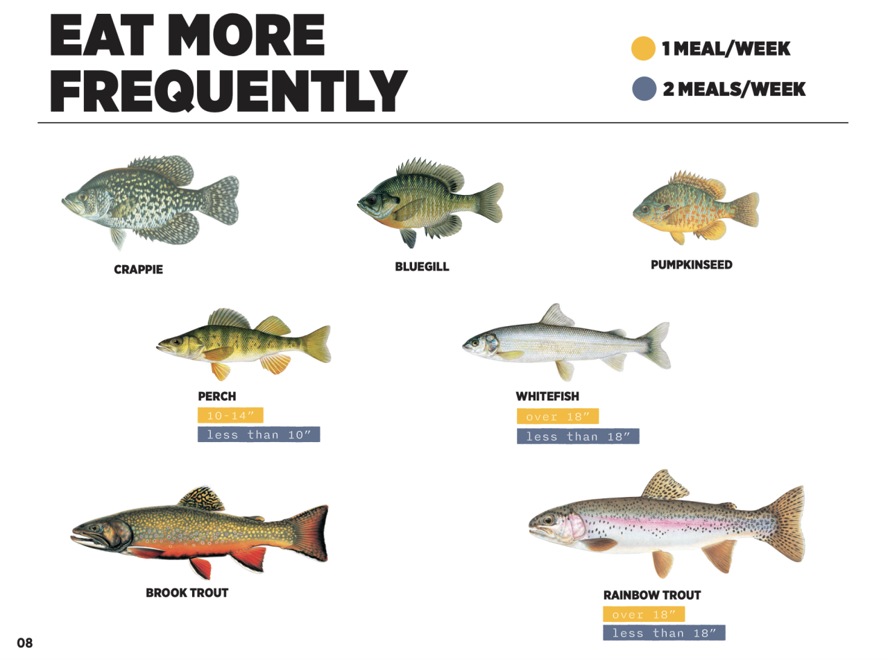 Montana Sport Fish Consumption Guidelines 2026