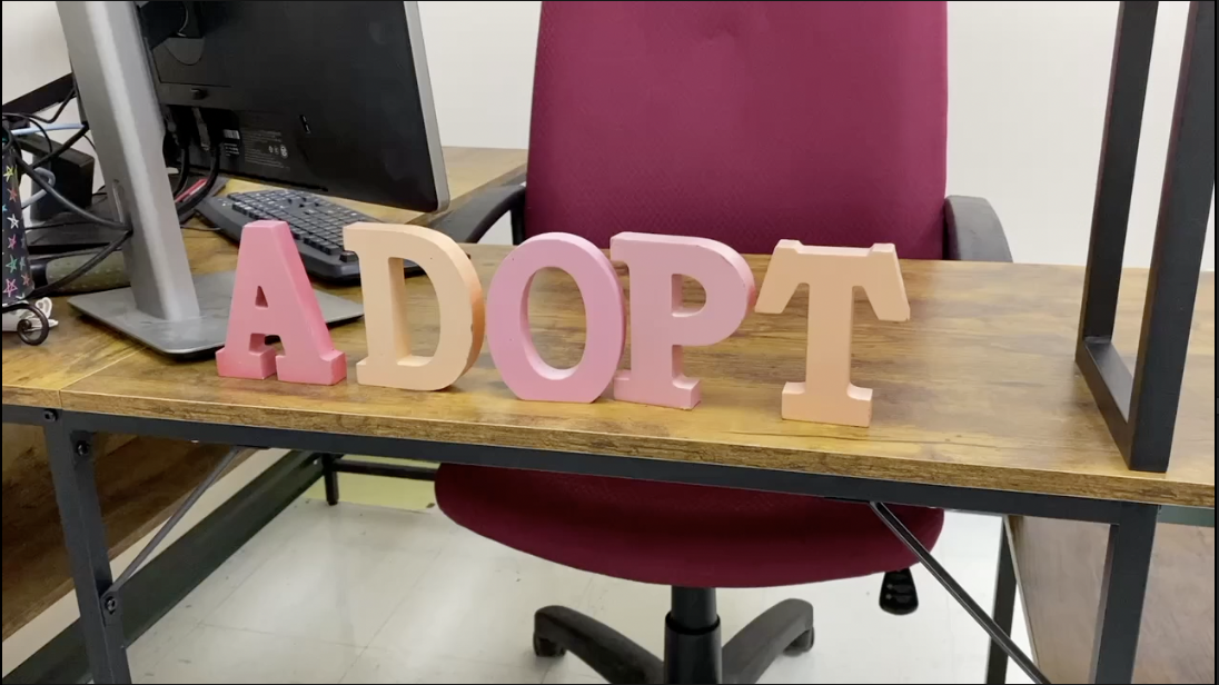 The purpose of this event is to prep puppies and dogs for adoption
