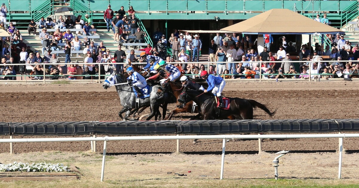 Owner of Turf Paradise plans to stick around for another racing season - Vimarsana News