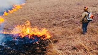 Grass fire.jpg