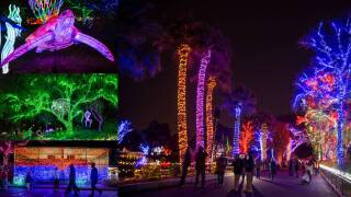 FILE | ZooLights at the Phoenix Zoo 