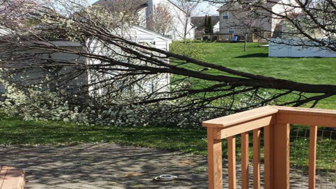 PHOTOS: Saturday's crazy weather