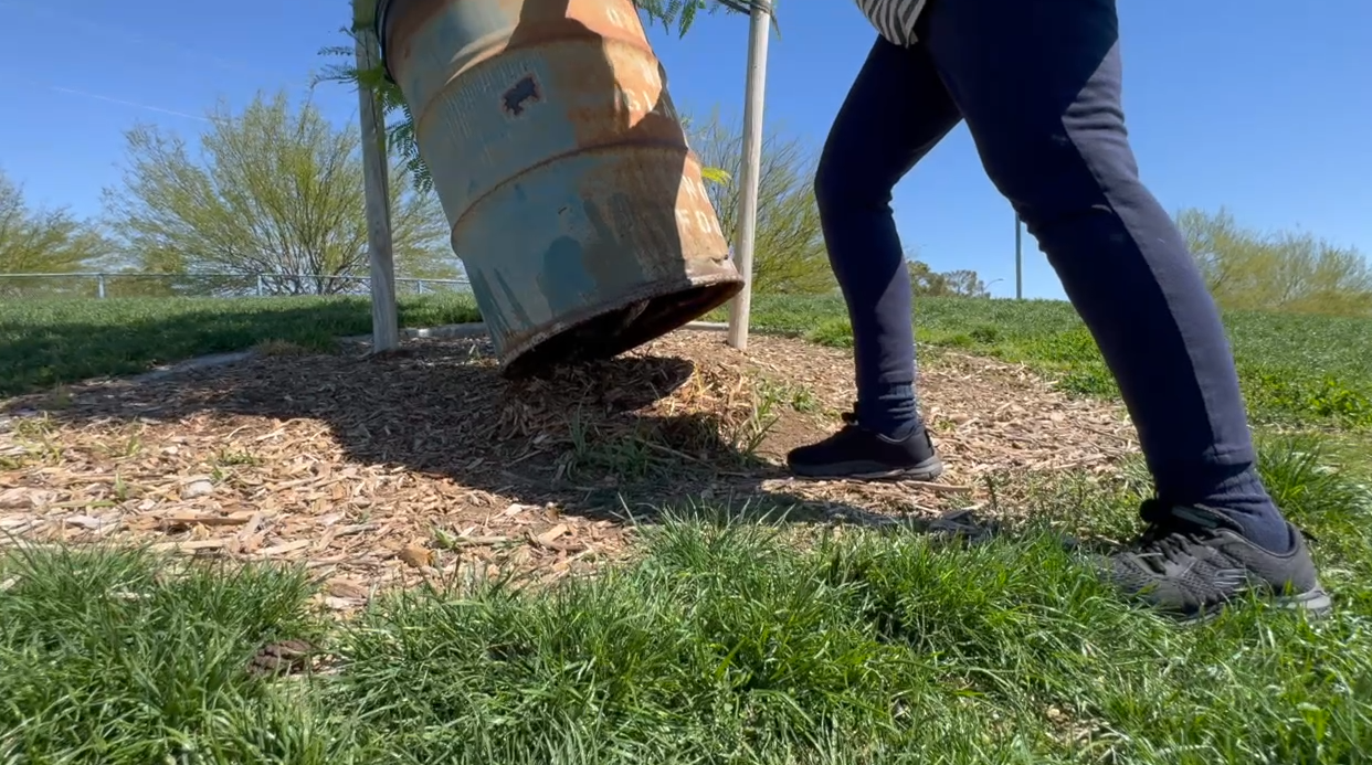 Getting answers: Frustrated Northwest Las Vegas dog park users want better amenities