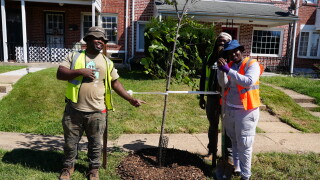 The neighborhood forestry technicians next to one of the trees they planted