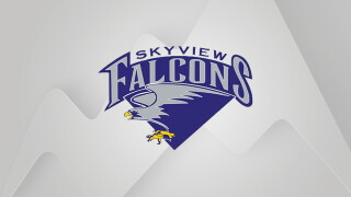 Billings Skyview Falcons logo