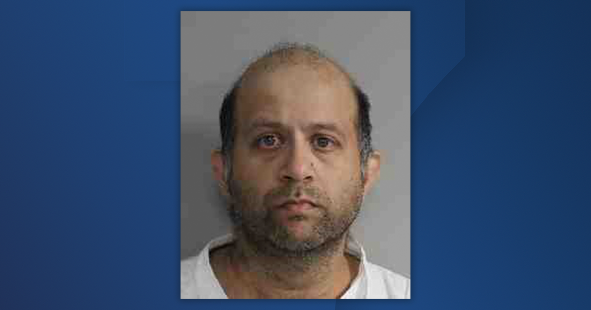 Amherst man pleads guilty to killing his mother