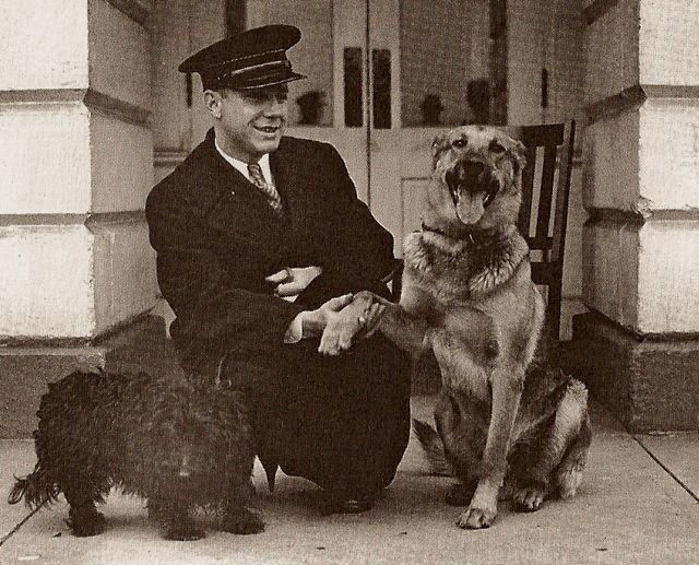 Major Roosevelt
Courtesy: presidentialpetmuseum.com