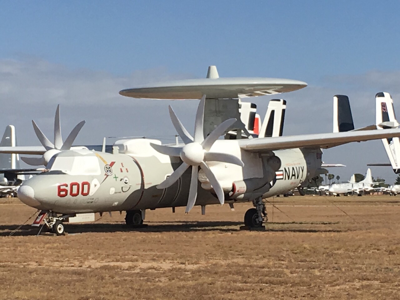 amarg 8.jpg