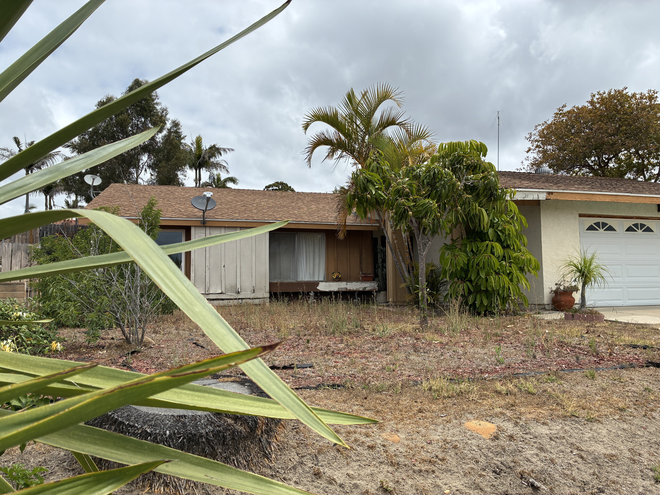 Woman reported missing found dead in Chula Vista park; suspect arrested