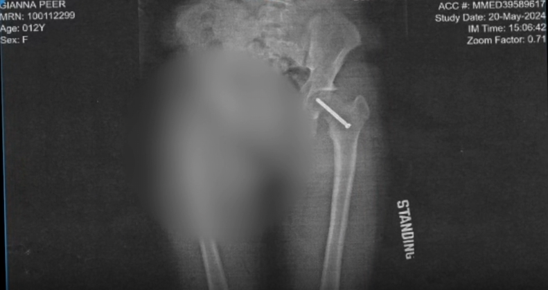 Screenshot 2024-06-19 at 10.23.51 AM.png