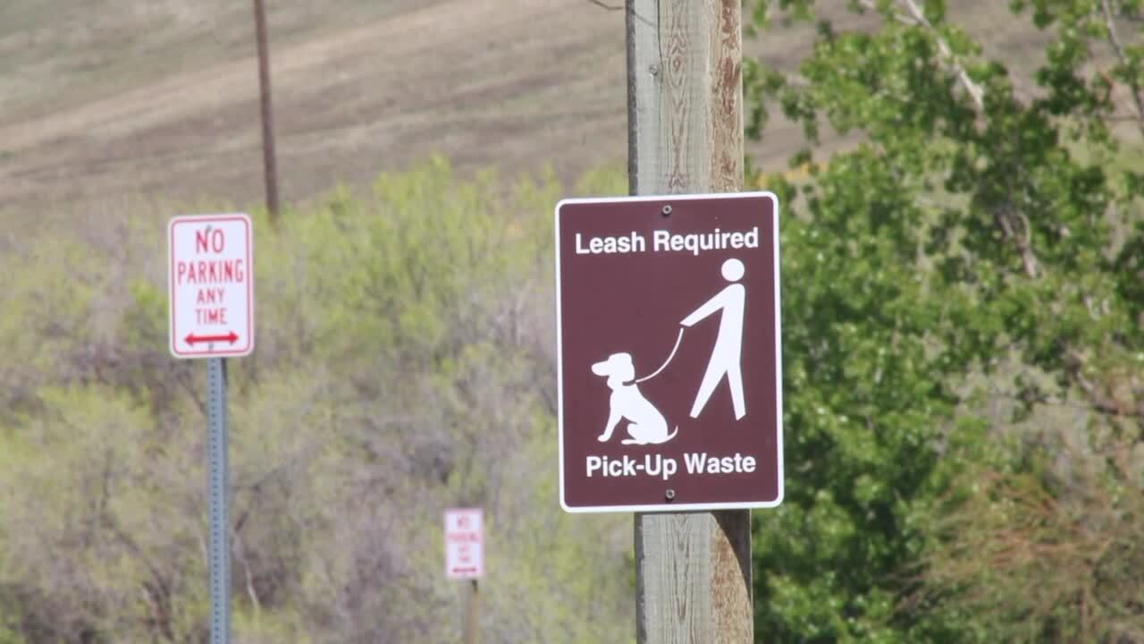 DOG ON LEASH SIGN