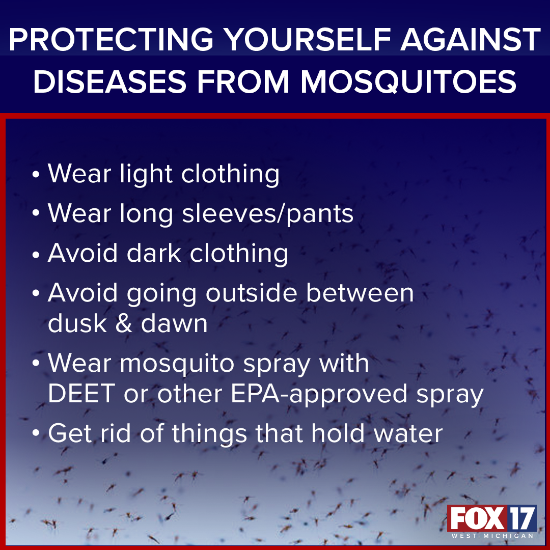 Protecting Yourself Against Diseases from Mosquitoes Social Factoid.png