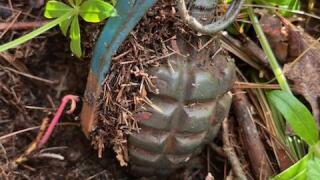 grenade found in yard