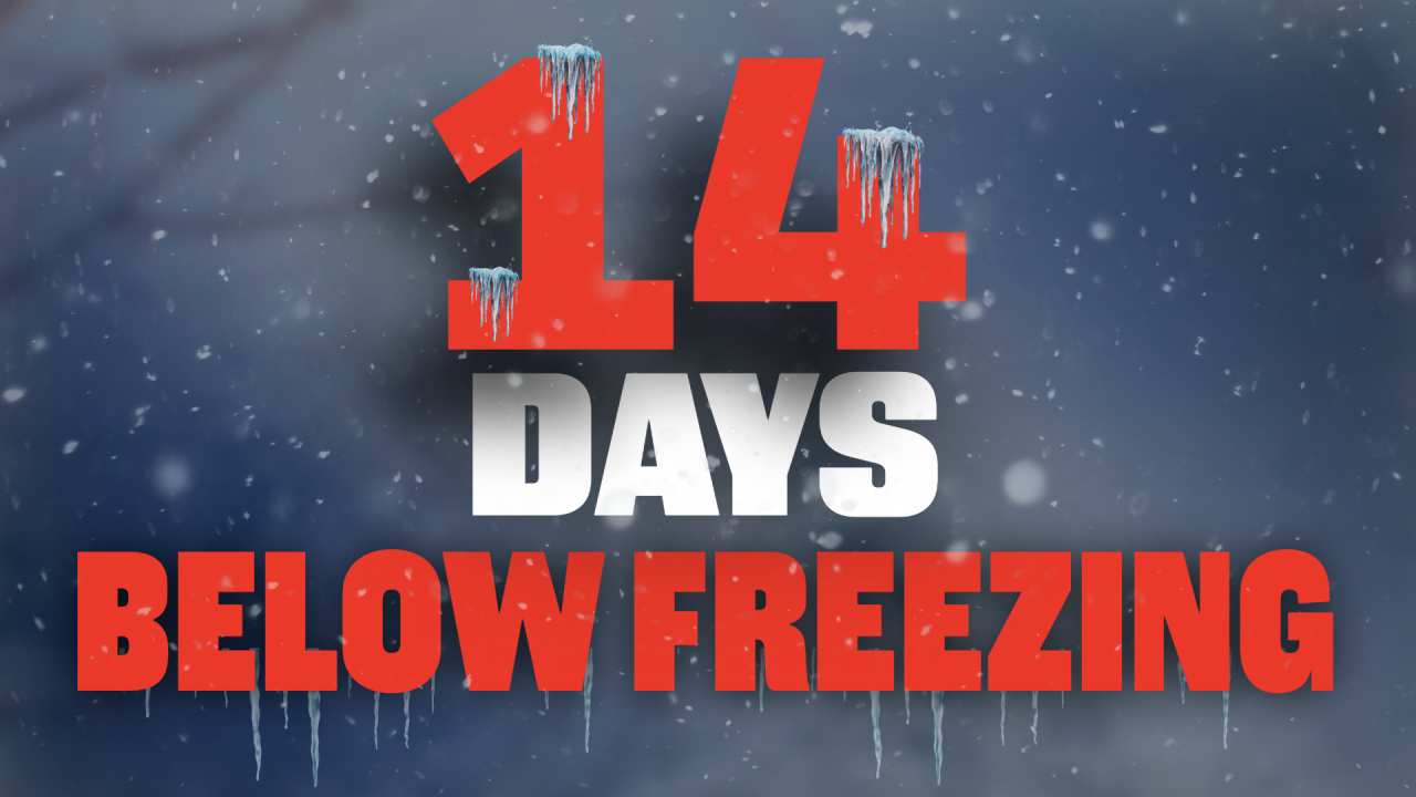 Untitled 11.37.47 AM.png