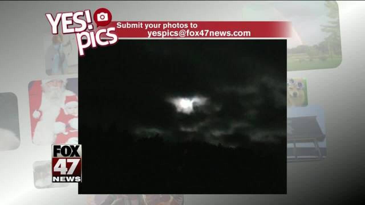 Yes! Pics: 11/6/18