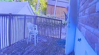 cpd shooting 89-year-old man