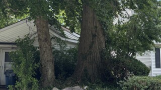 Willoughby Lawn issue