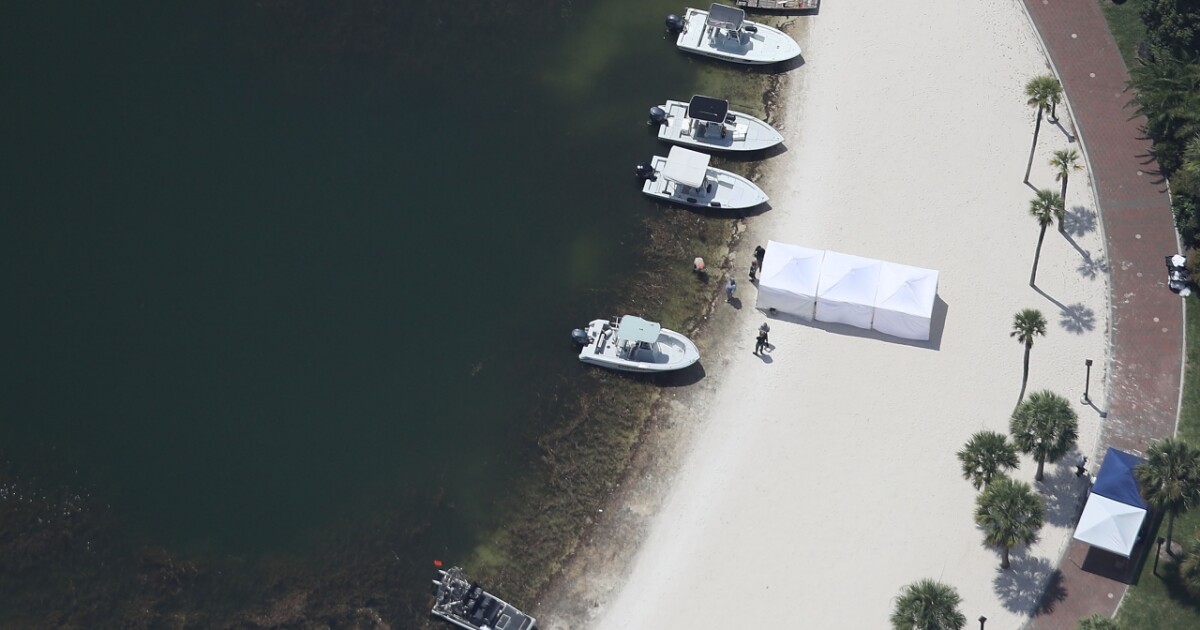 Parents Of Toddler Dragged By Gator At Disney World Won't Sue (VIDEO)