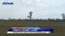WATCH: Viewer sees `Looney` tree