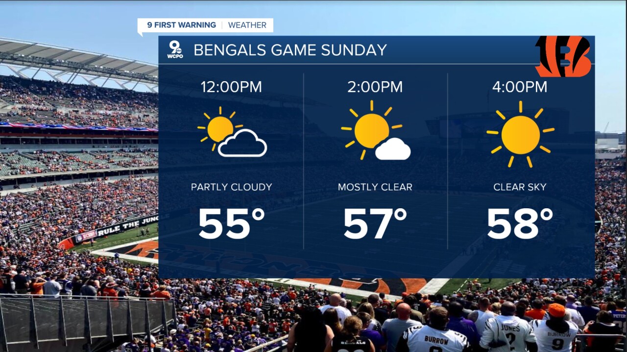 Bengals Forecast
