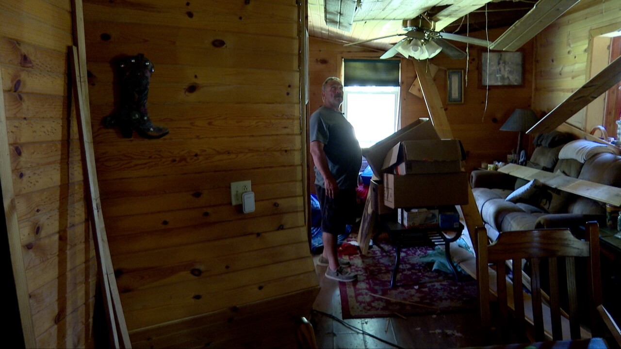 tree into home 3.jpg