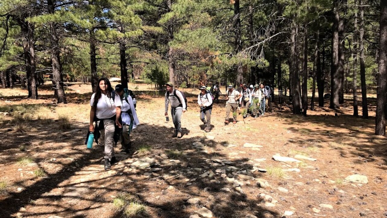 Youth Conservation Corps at Saguaro National Park
