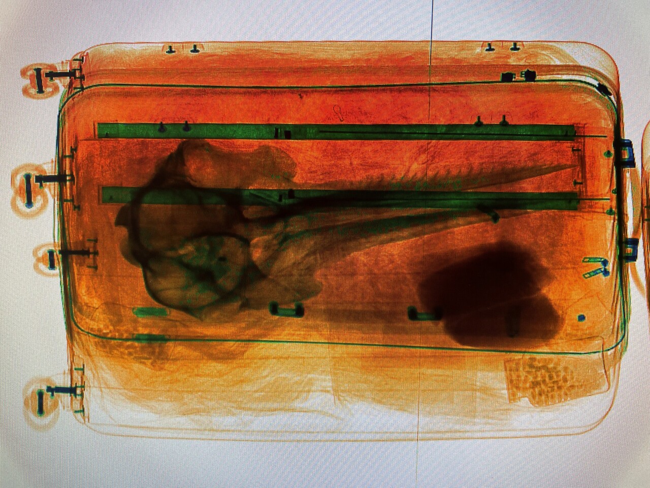 DETFO_DMA_Release_Dolphin Skull_2 2023.jpg