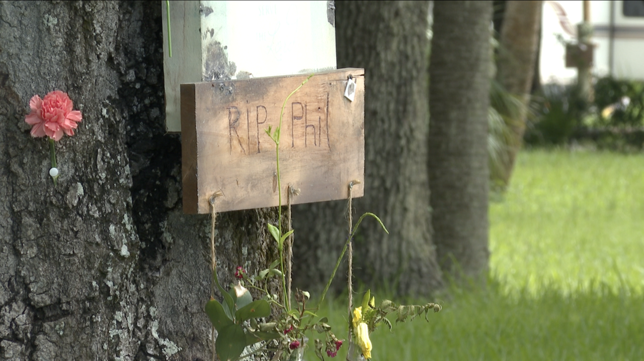 Screenshot 2024-08-08 at 5.42.06 PM.png