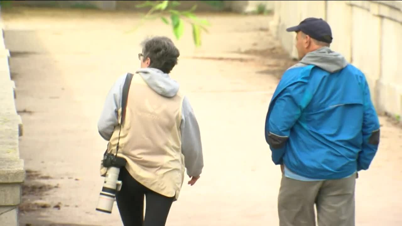 Poster image - 2021-05-19T221412.388.jpg